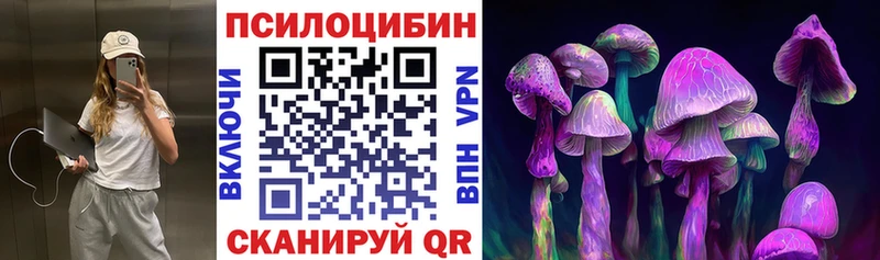 omg маркетплейс  Разумное  Галлюциногенные грибы Psilocybe 